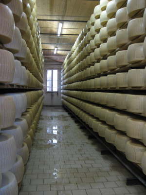 Fidenza 2008 517